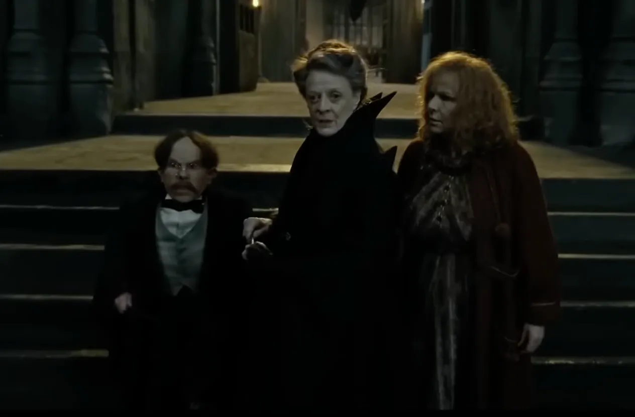 Professor McGonagall protects Hogwarts - Harry Potter